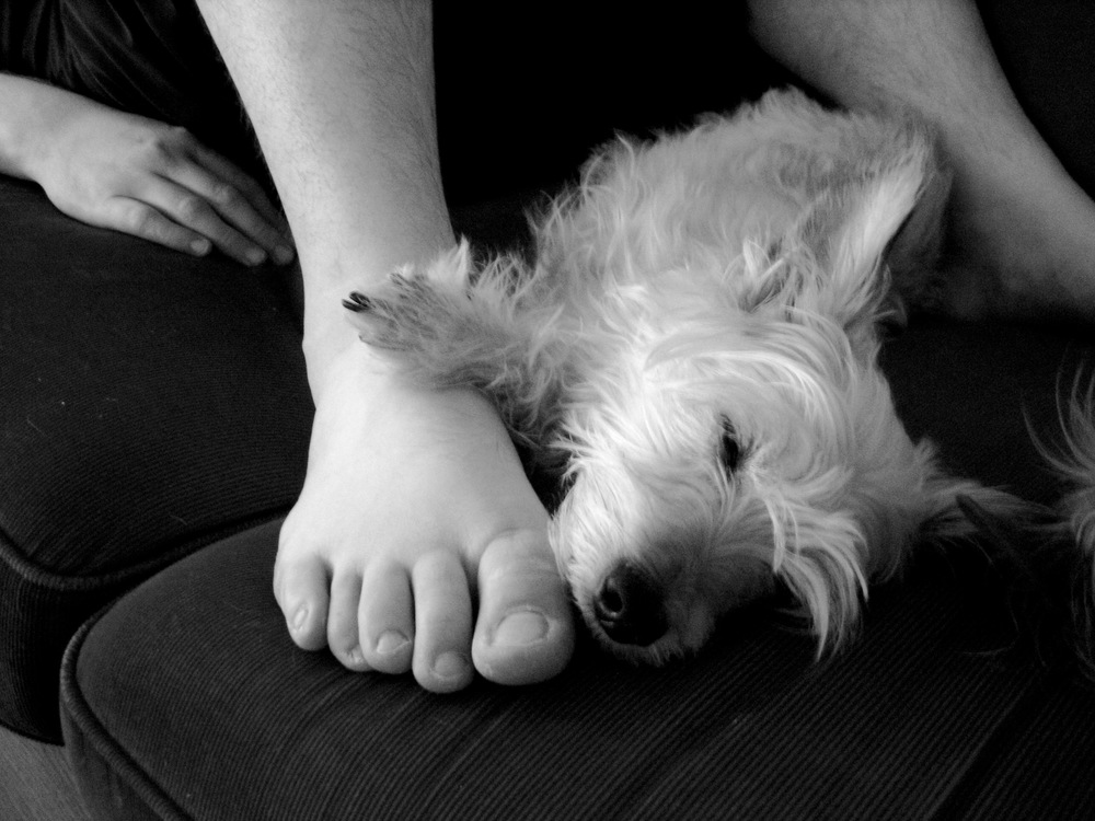 Black and white photo of Sean sleeping next to my foot